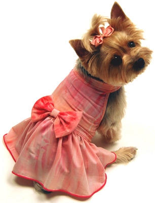 Pink Dress