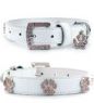Bling Paws 3300 Collar