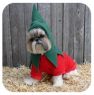 Chili Pepper Costume