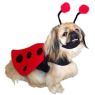 Ladybug Costume