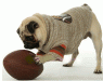 Touchdown Football Sweater
