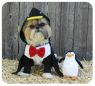 Penguin Costume