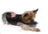Sweetpea Harness