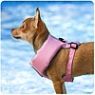 Puppy Lifevest