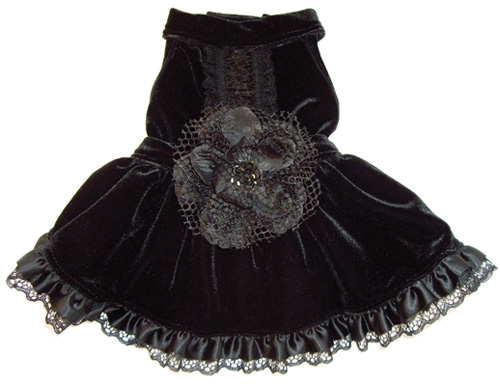 Twilight Dress